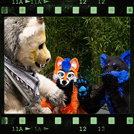 Eurofurence 2015 fursuit photoshoot. Preview picture of PainFree, Toothie, Ratze